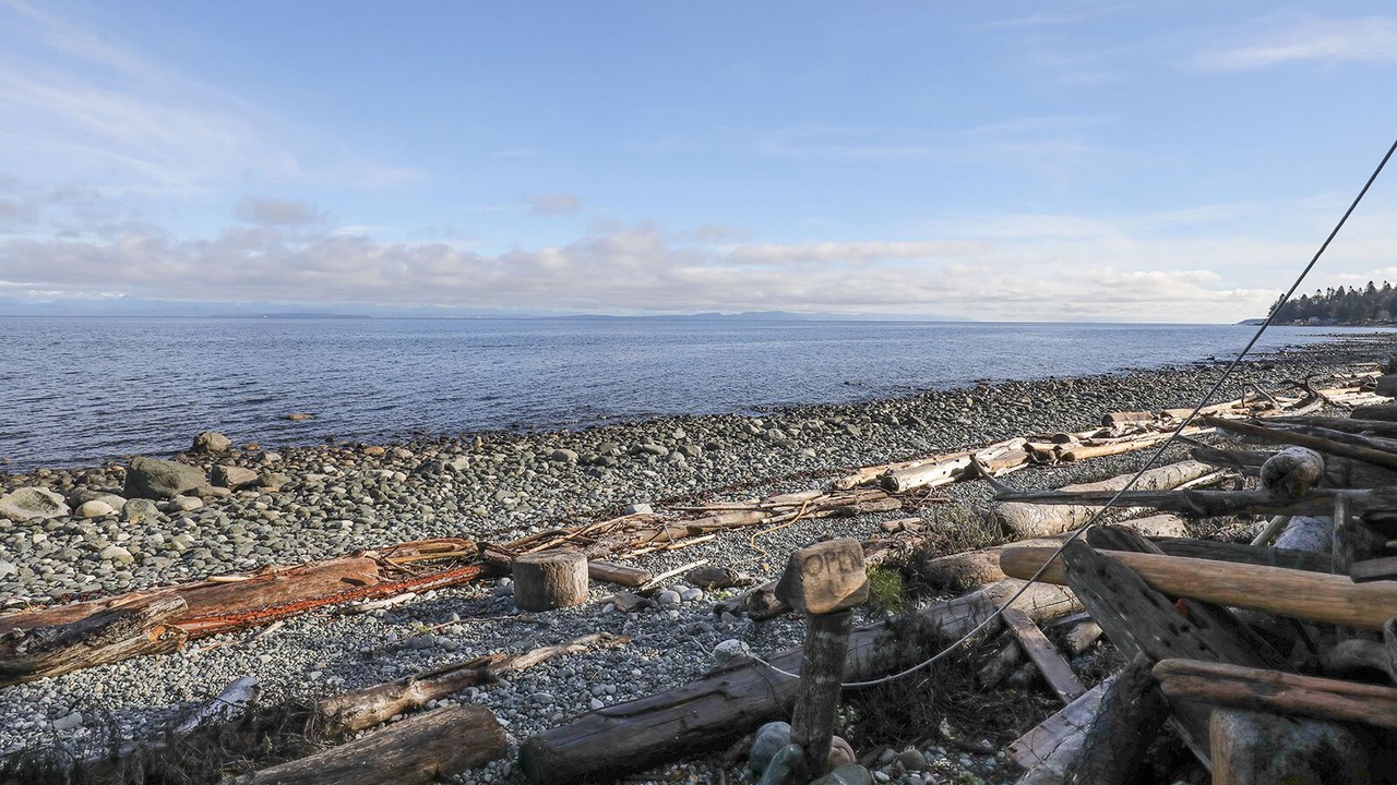 Photo of Others in Courtenay