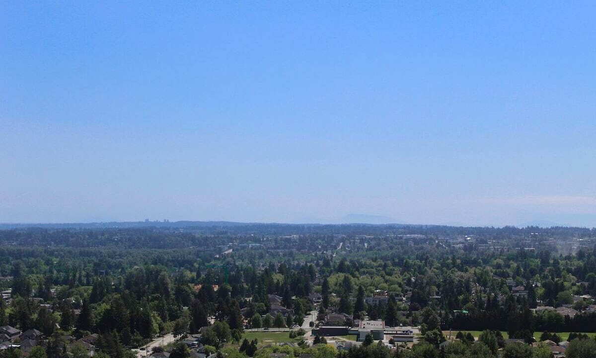 Photo of Others in Surrey