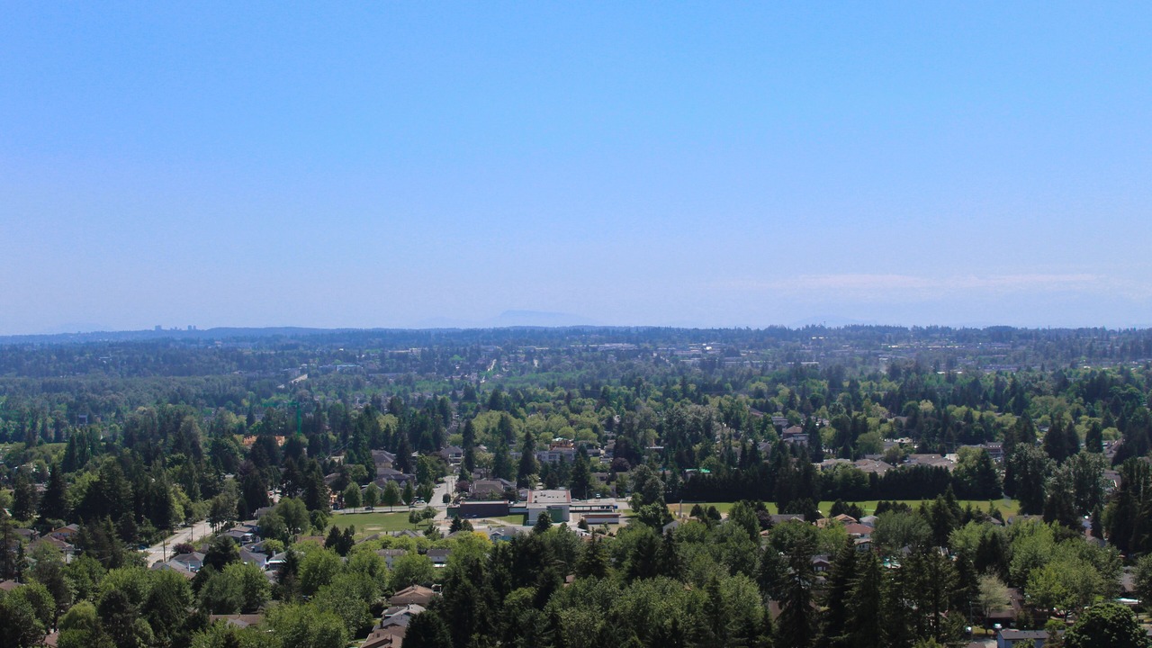 Photo of Others in Surrey