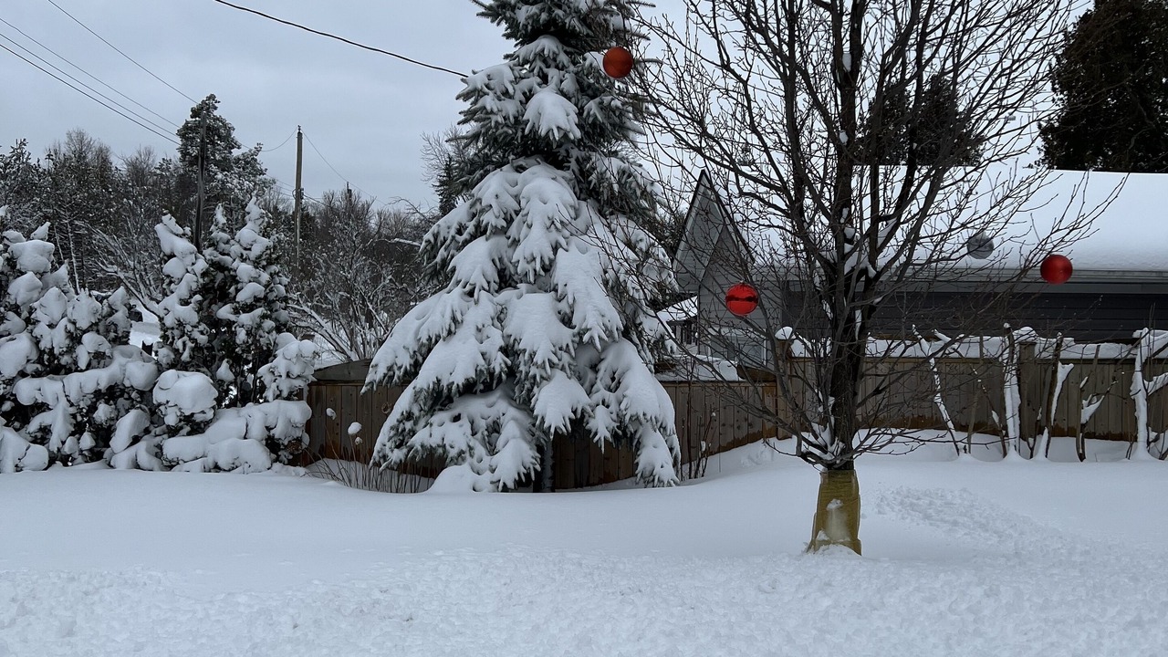 Photo of Outdoor in Scugog