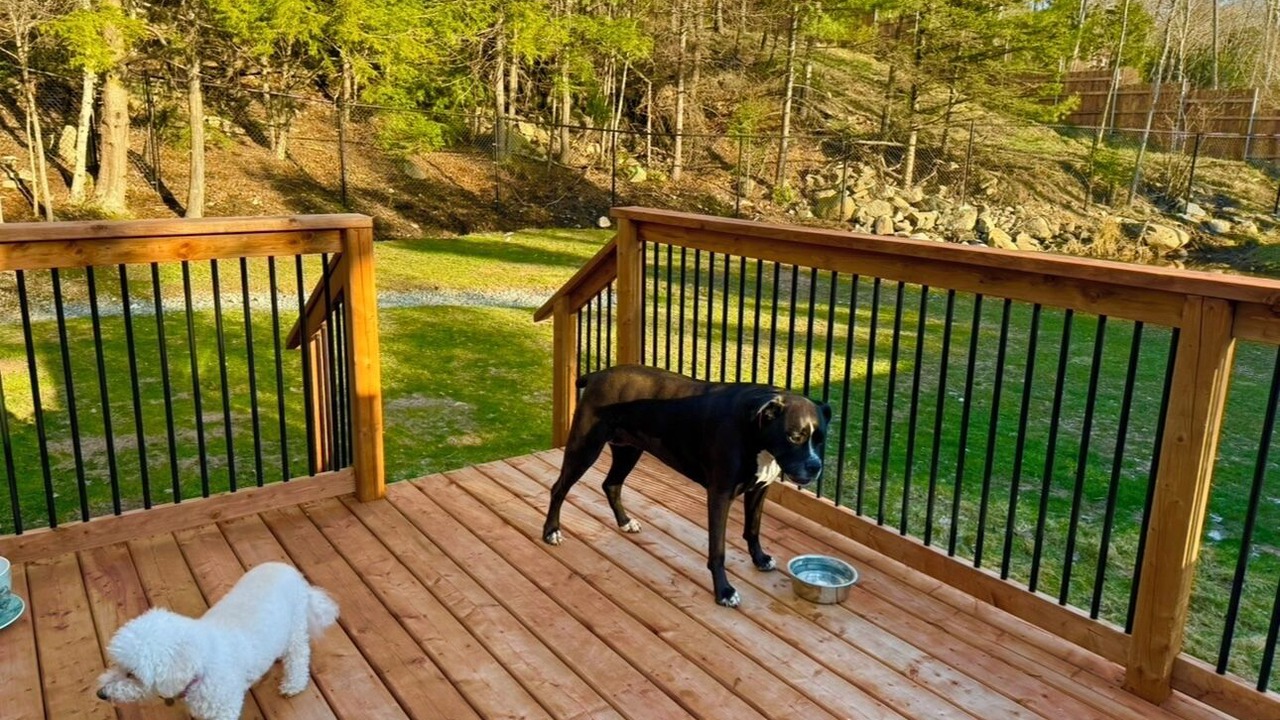 Photo of Outdoor in Halifax County