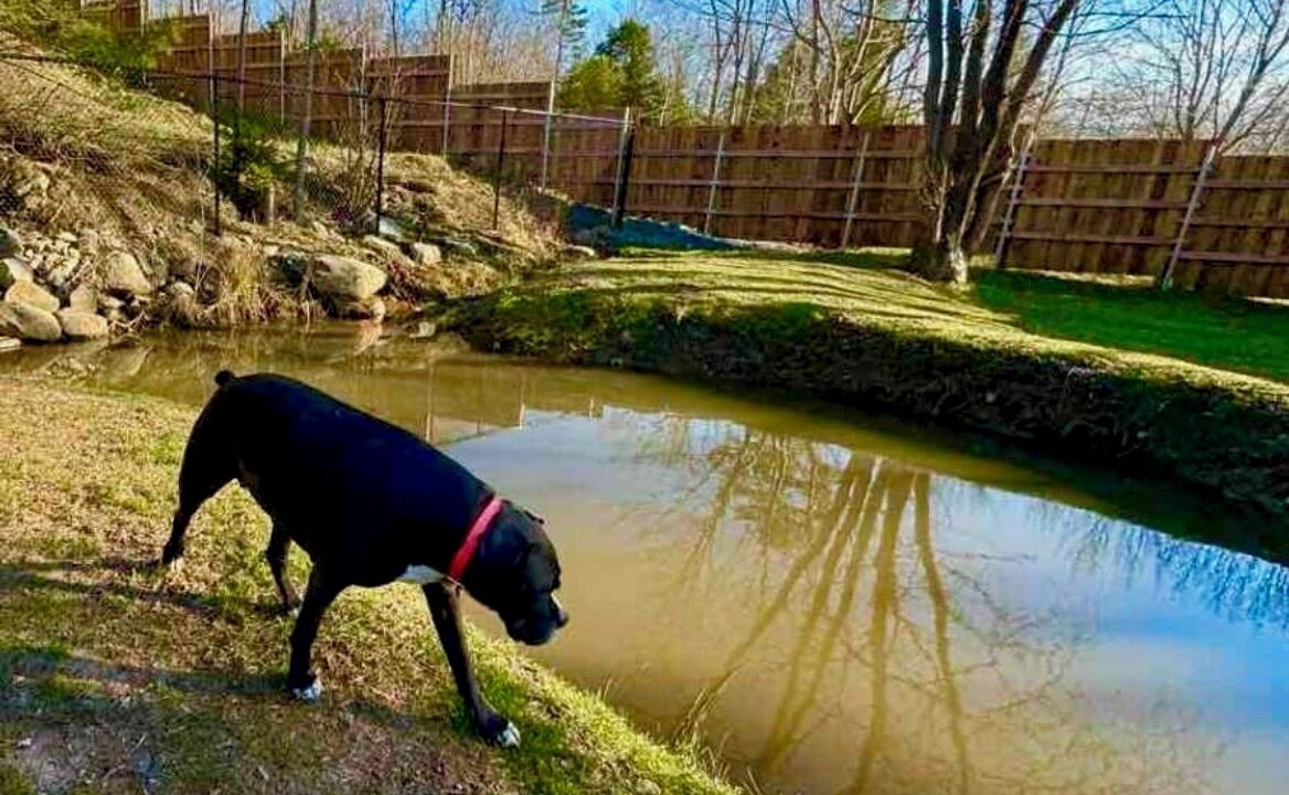 Photo of Others in Halifax County