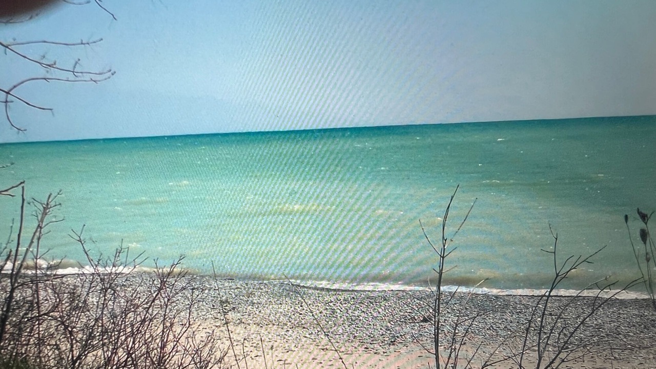 Photo of Others in Colborne