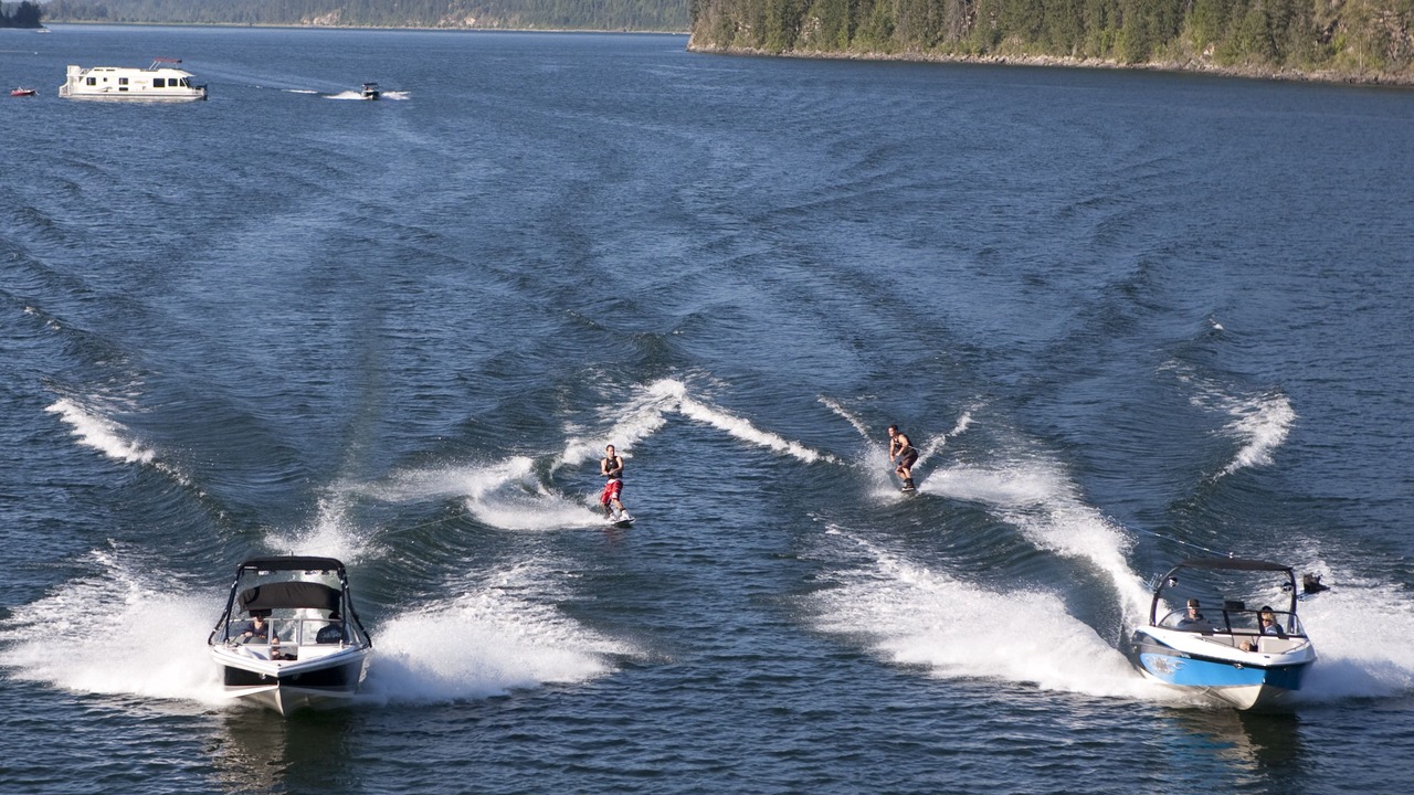 Photo of Others in Sicamous