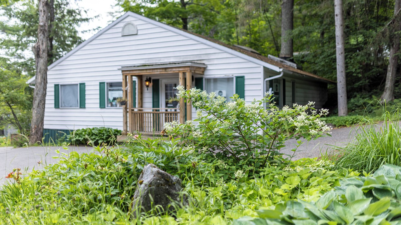 Photo of Others in Port Carling