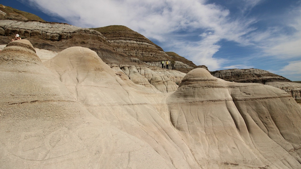 Photo of Others in South Lethbridge