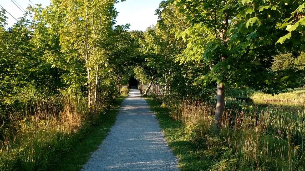 Photo of Outdoor in Corner Brook