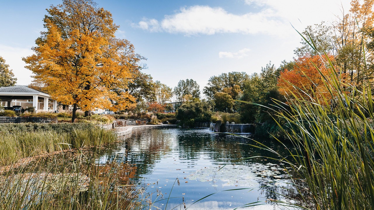 Photo of Outdoor in Plateau