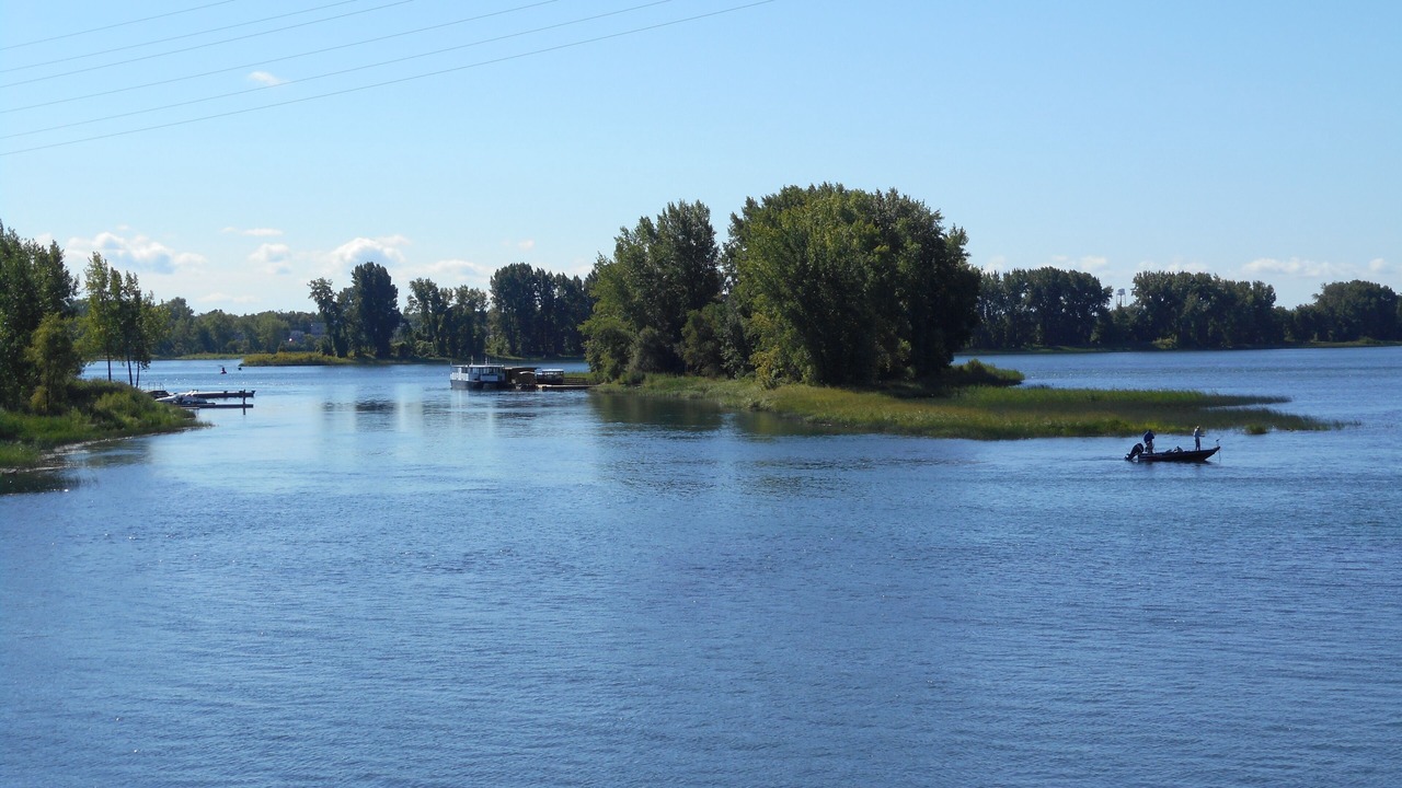 Photo of Others in Longueuil