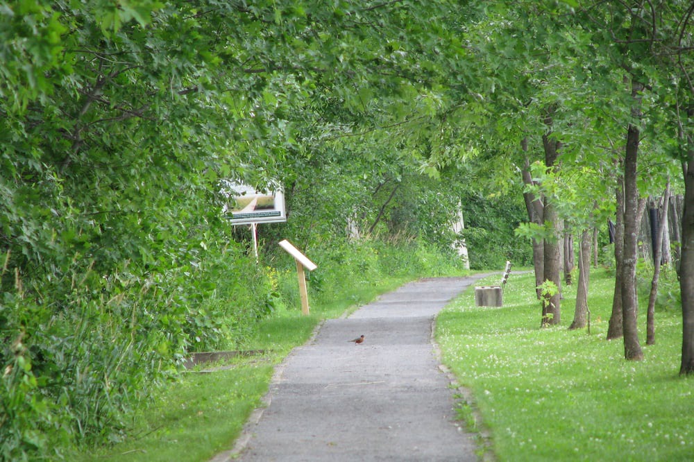 Photo of Outdoor in Berthierville
