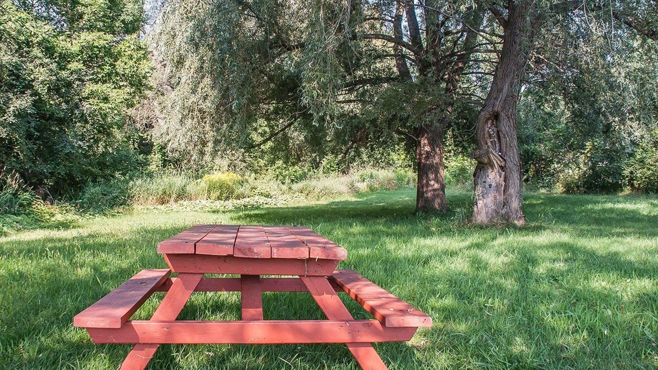 Photo of Outdoor in Orillia