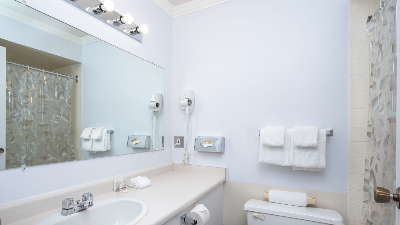 Photo of Bathroom in Renfrew-Collingwood
