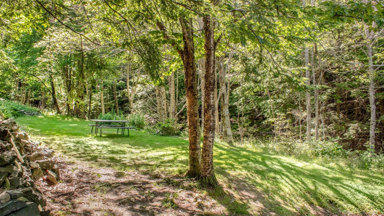 Photo of Outdoor in Halifax
