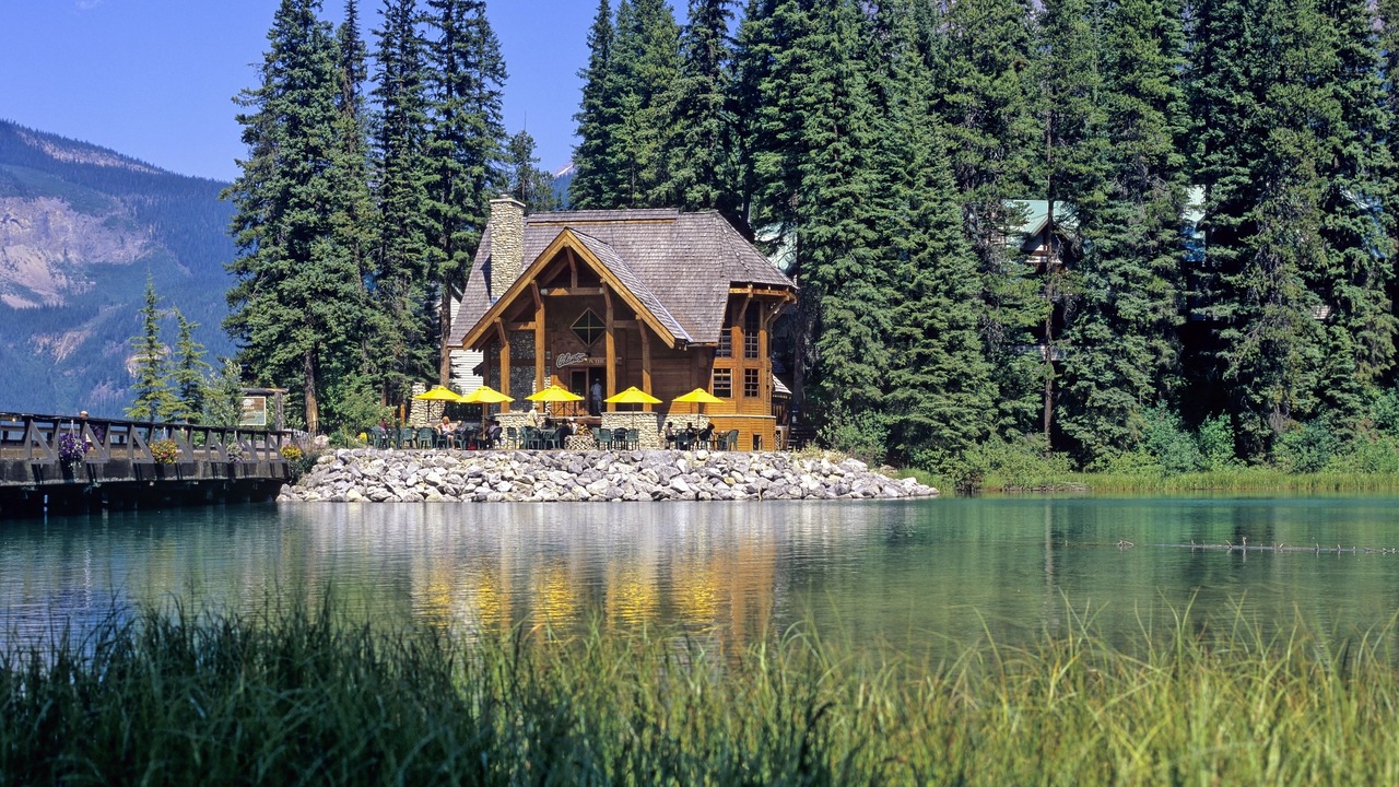 Photo of Outdoor in Field