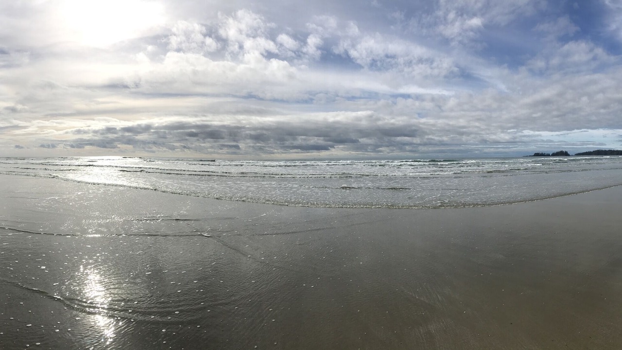 Photo of Others in Ucluelet
