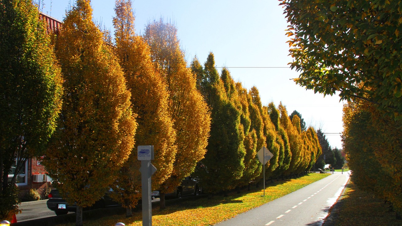 Photo of Others in Saanich