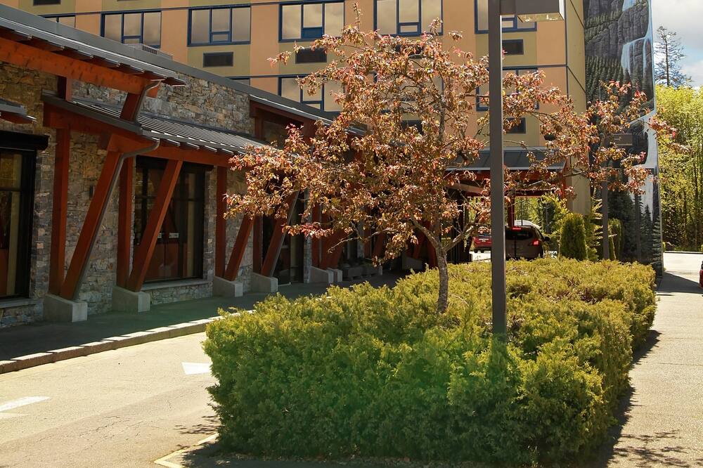 Photo of Outdoor in Port Alberni