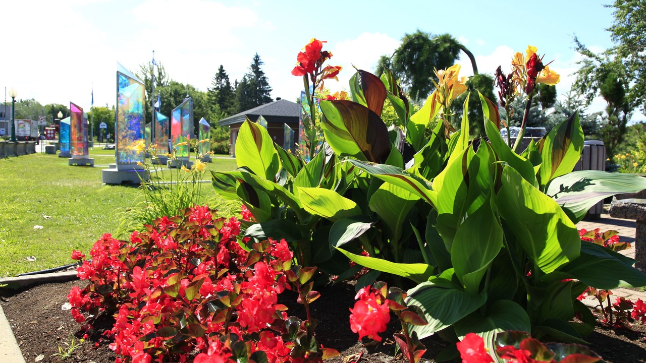 Photo of Outdoor in Mauricie