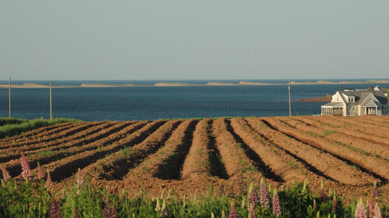 Photo of Others in Charlottetown
