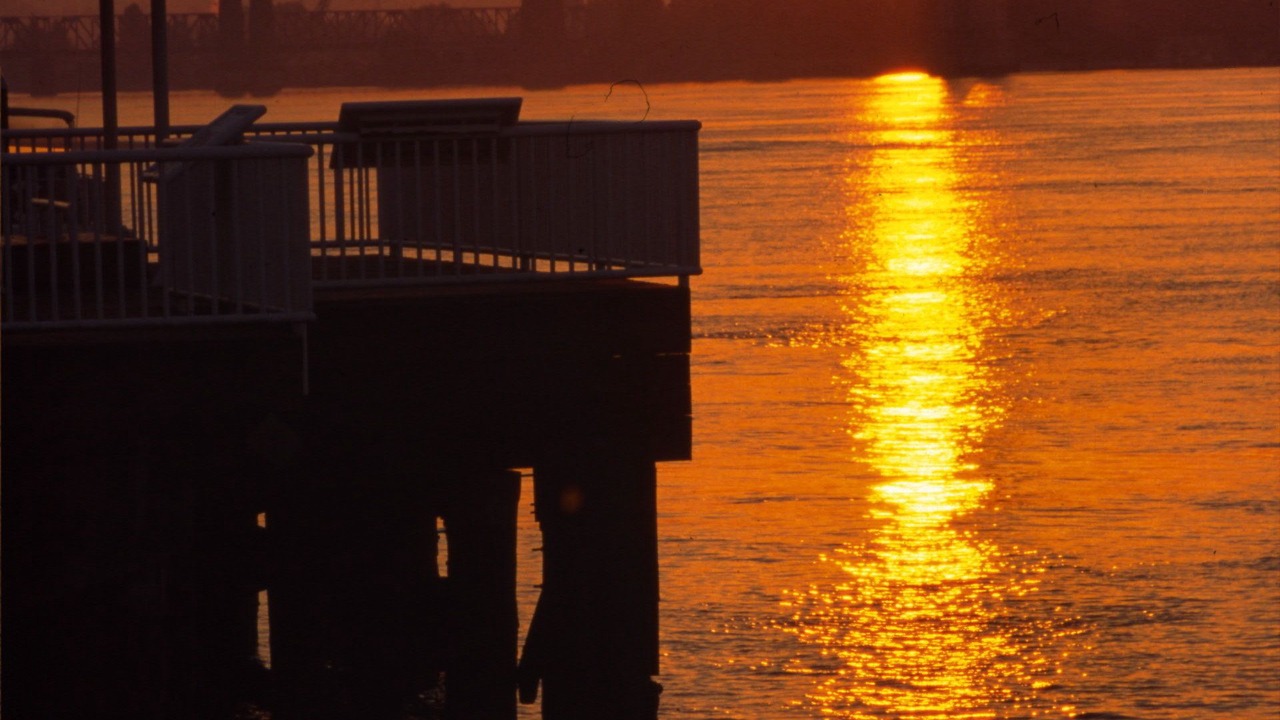 Photo of Others in Downtown New Westminster