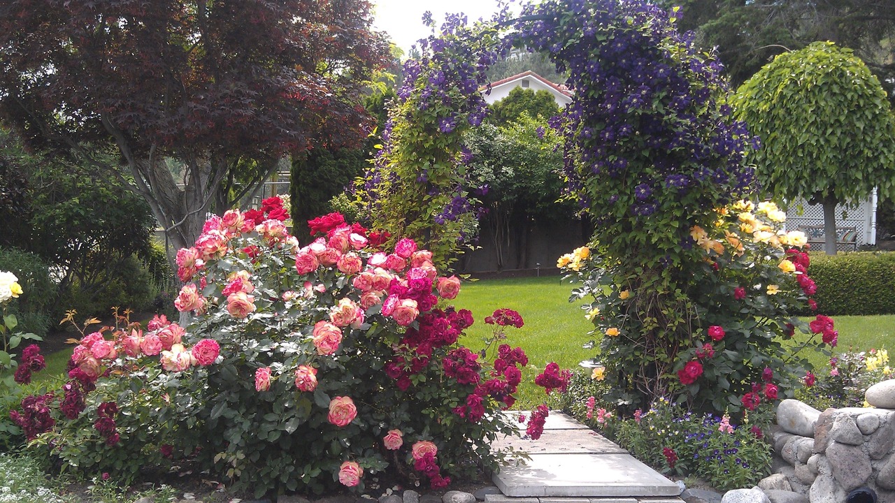 Photo of Outdoor in Central Okanagan