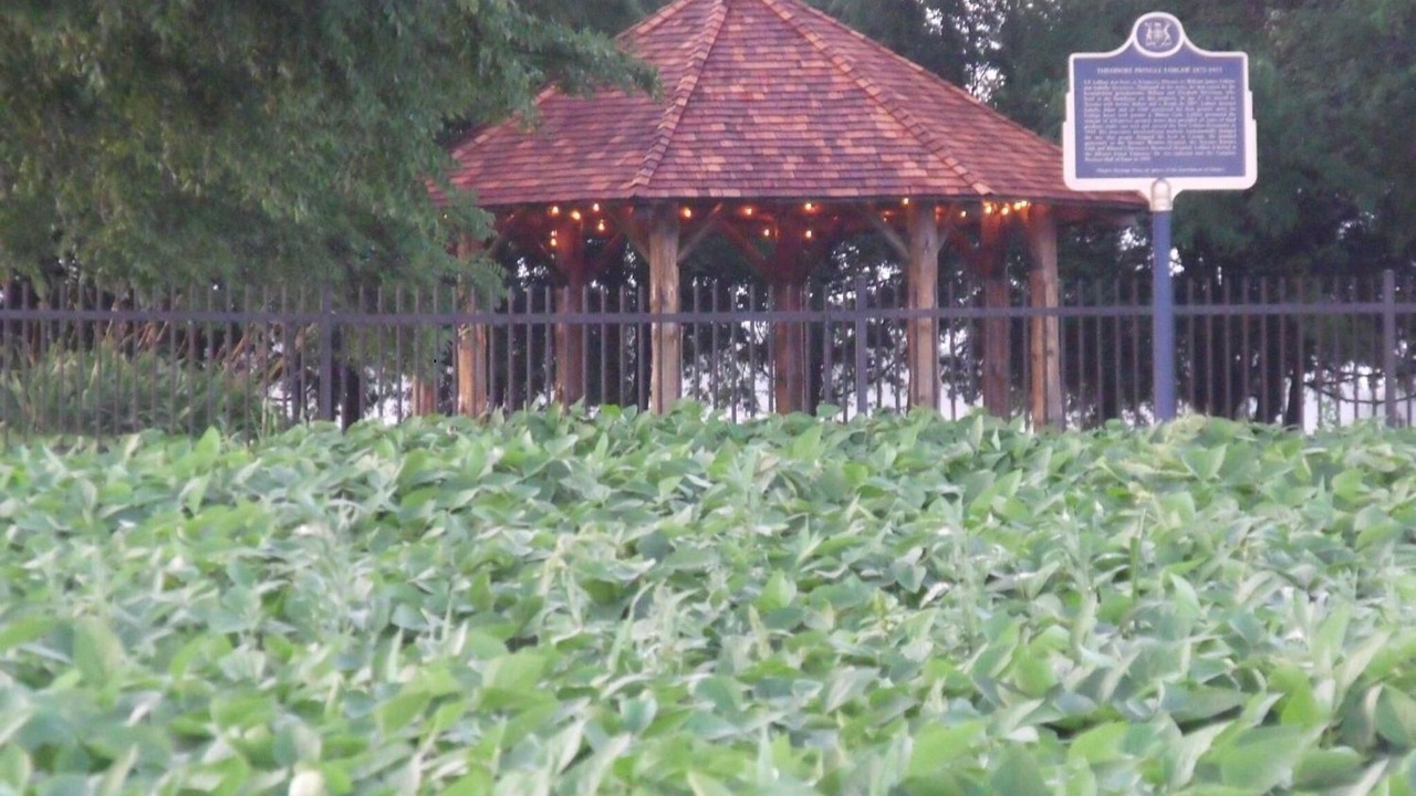 Photo of Outdoor in Essa