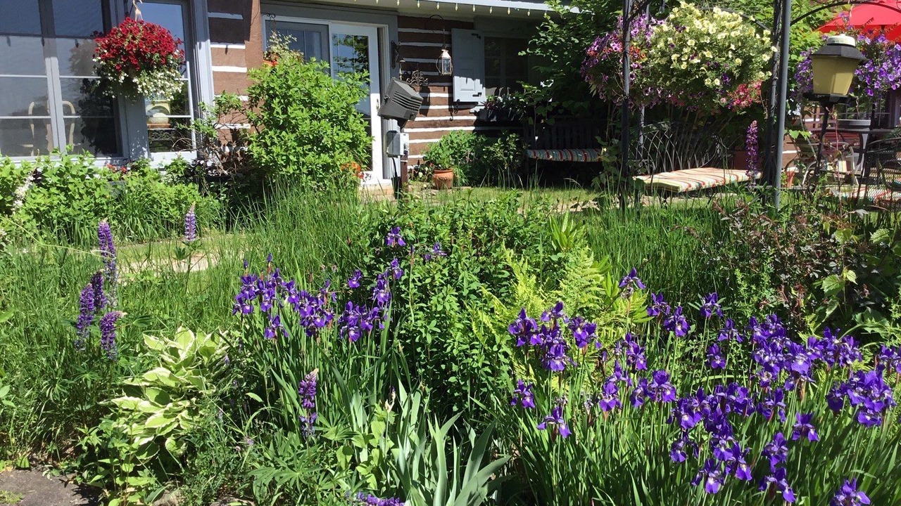Photo of Outdoor in Saint-Sauveur