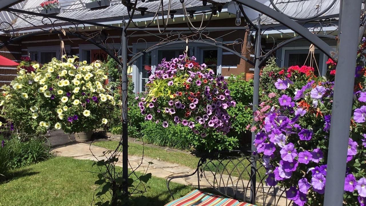 Photo of Outdoor in Saint-Sauveur