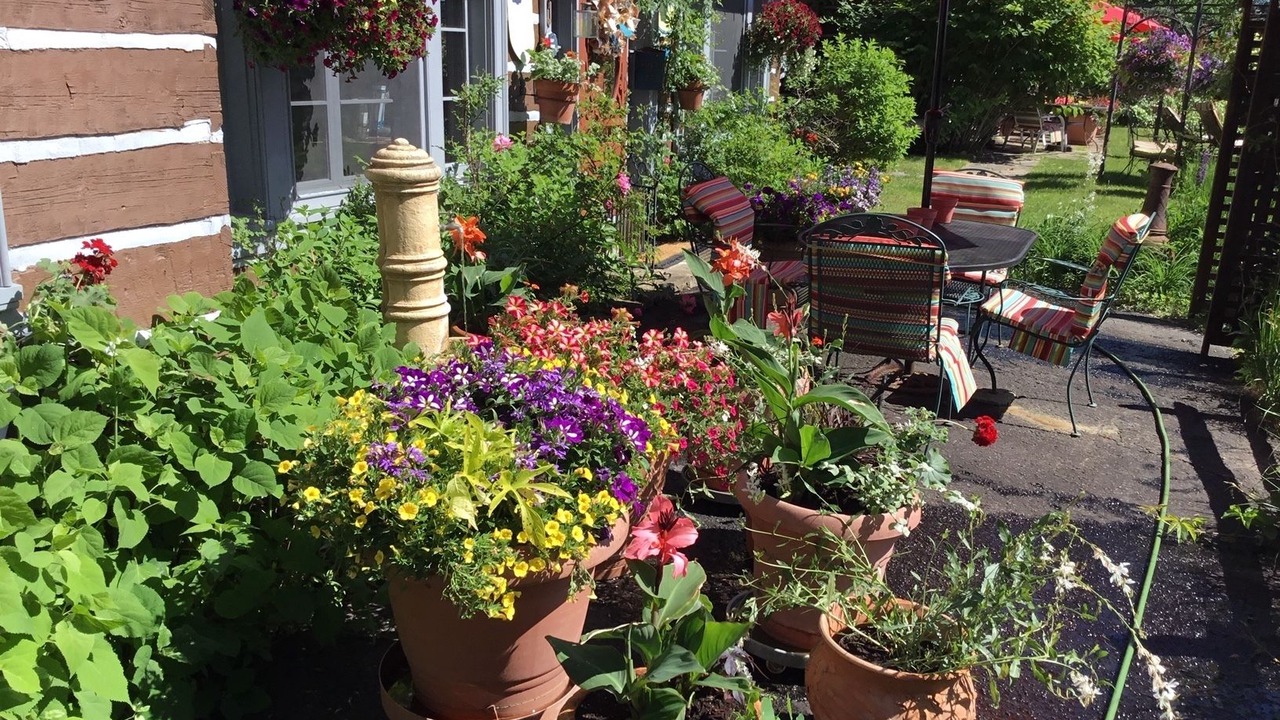 Photo of Outdoor in Saint-Sauveur