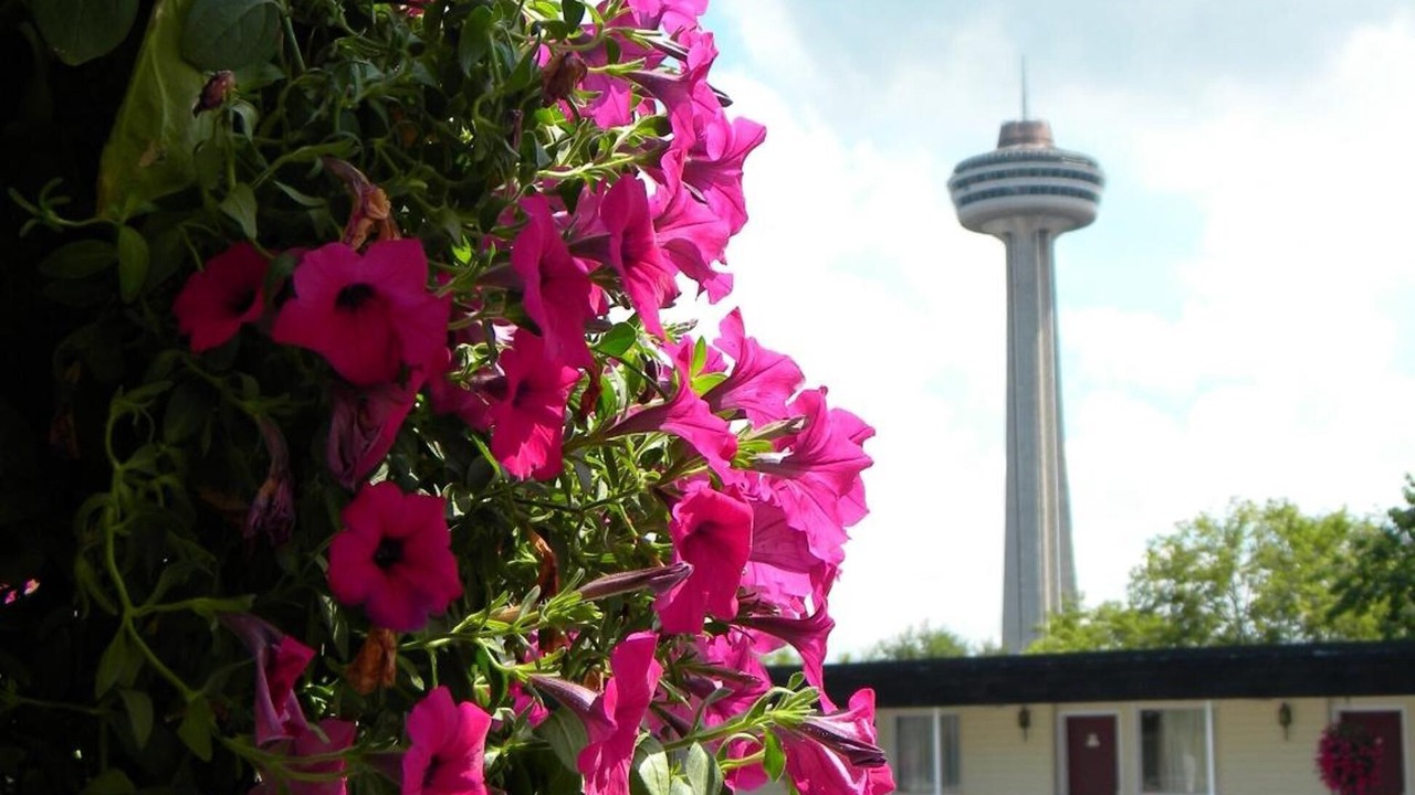 Photo of Outdoor in Fallsview