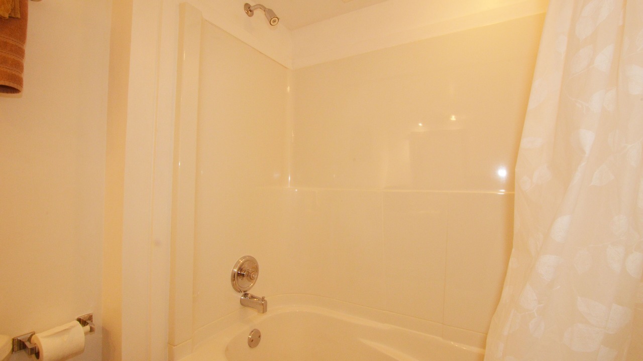 Photo of Bathroom in James Bay
