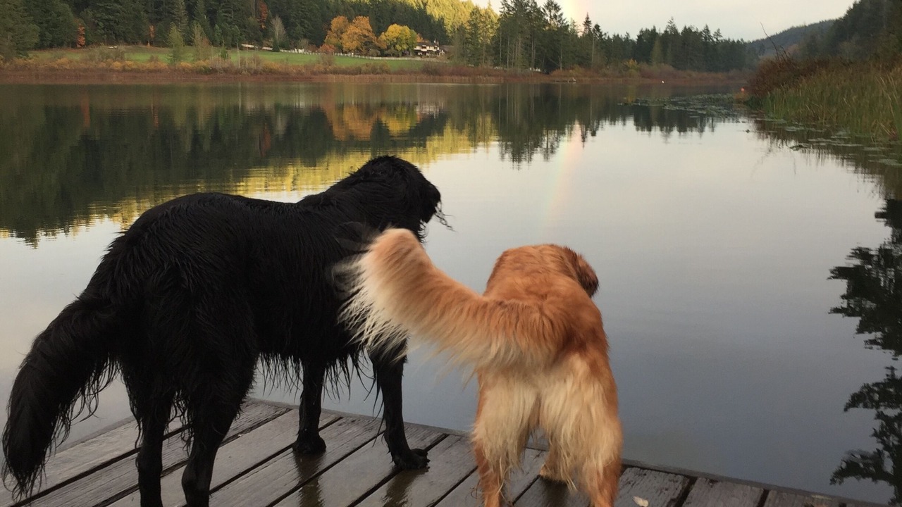 Photo of Others in Salt Spring Island