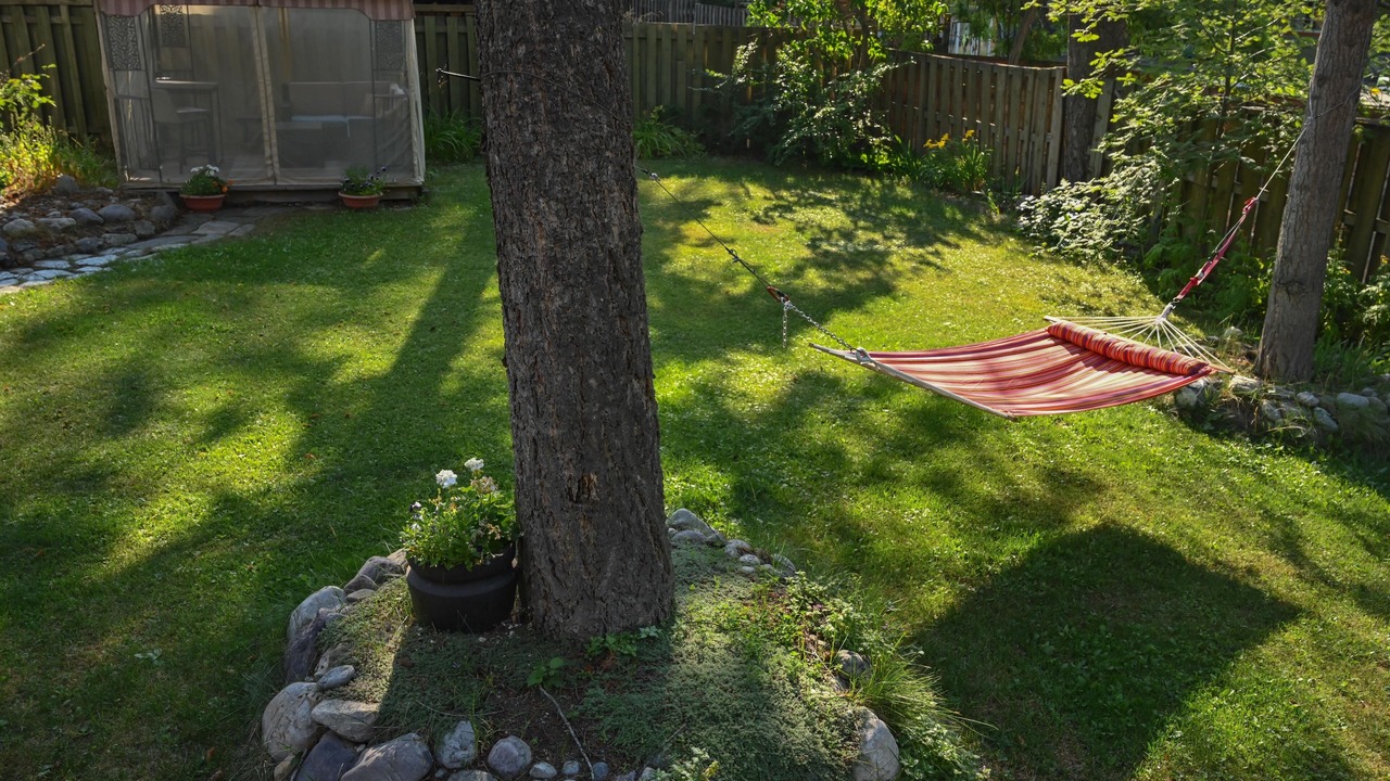 Photo of Outdoor in Golden