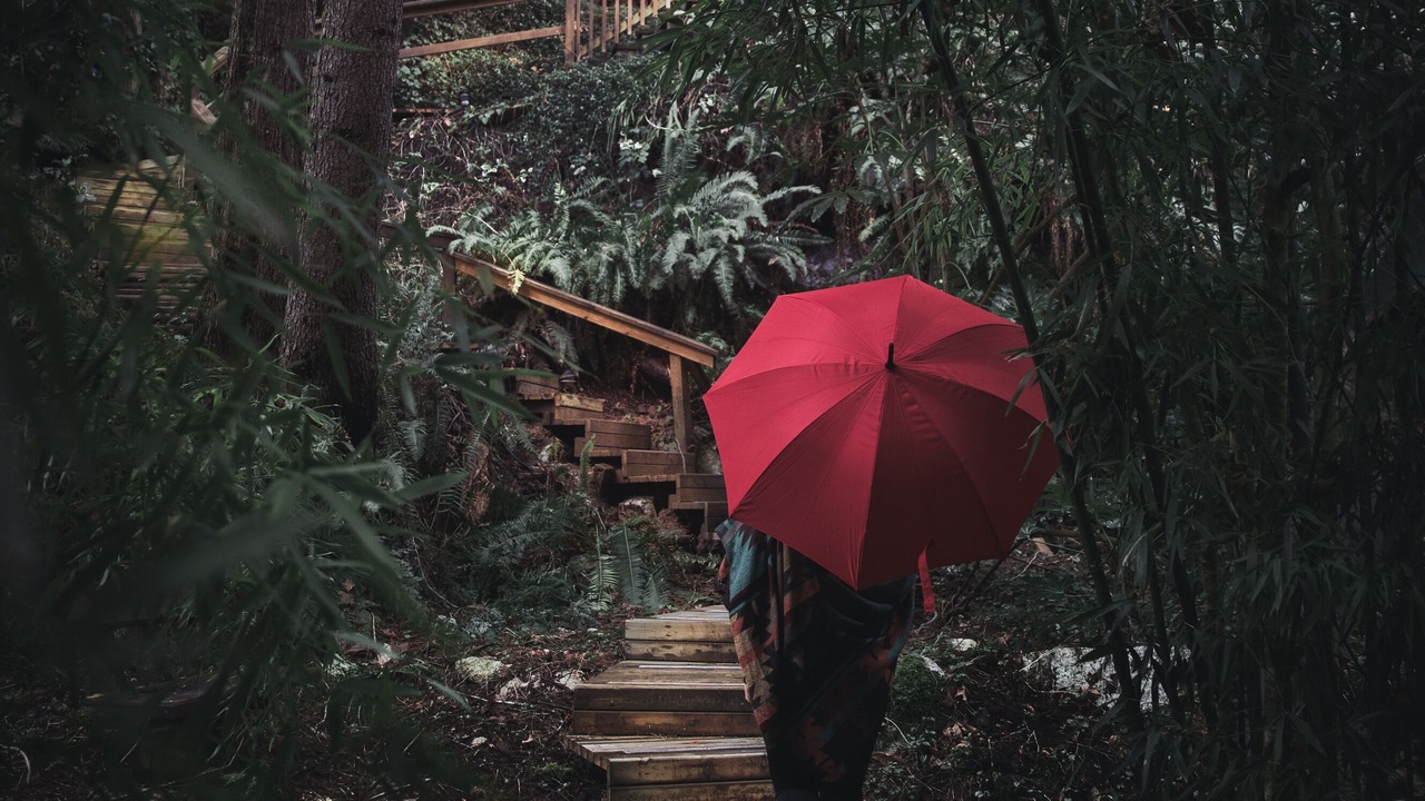 Photo of Outdoor in Tuwanek