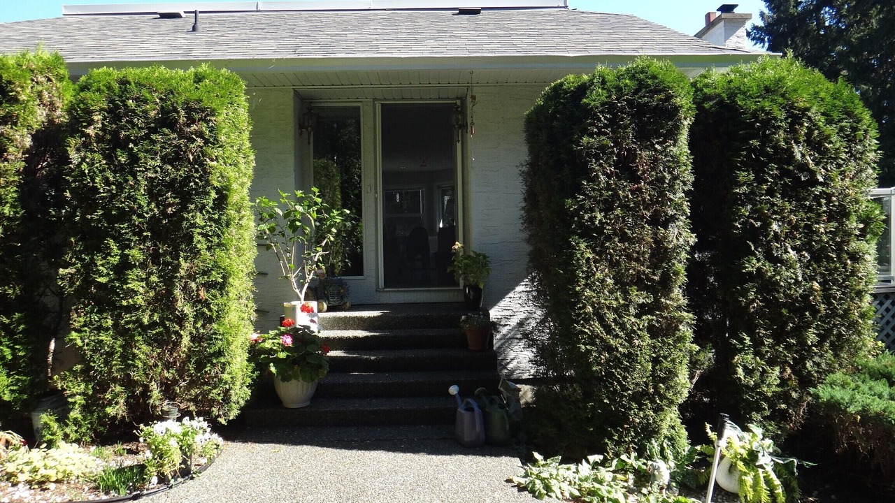 Photo of Outdoor in Cobble Hill