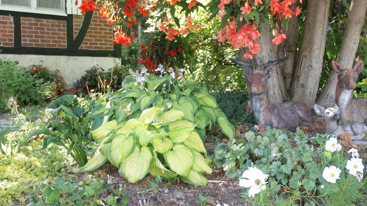 Photo of Outdoor in Peterborough