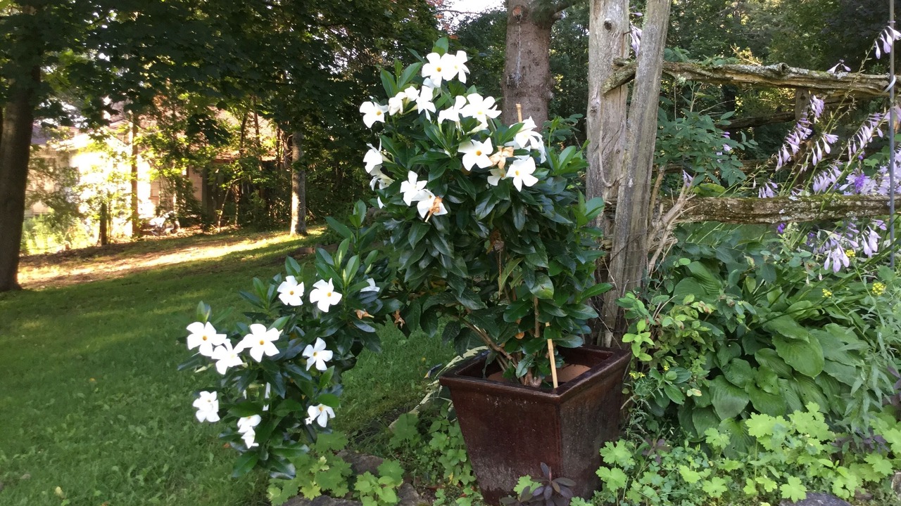 Photo of Outdoor in Peterborough