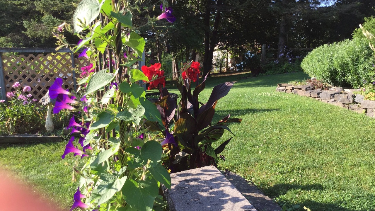 Photo of Outdoor in Peterborough