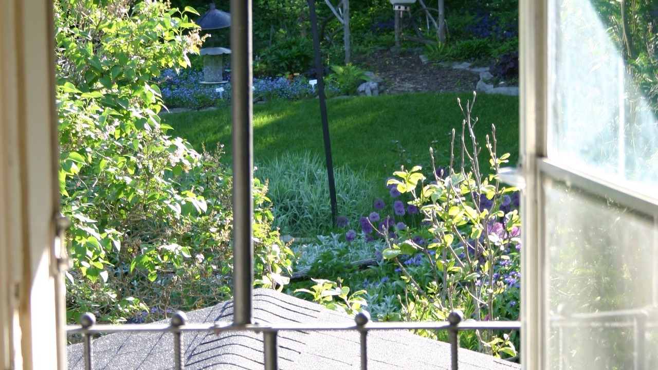 Photo of Outdoor in Peterborough