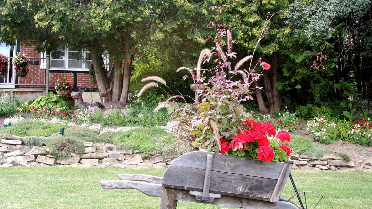 Photo of Outdoor in Peterborough