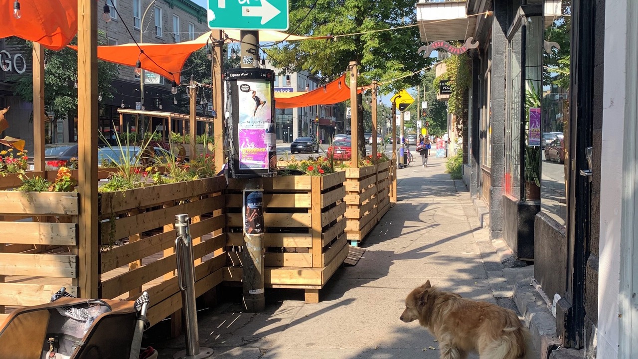 Photo of Outdoor in Mile End