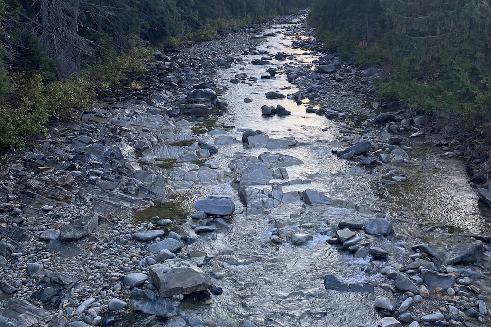 Photo of Others in Merritt