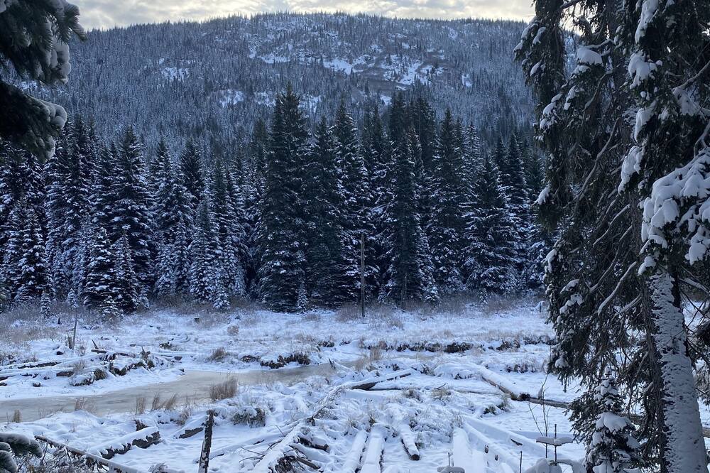 Photo of Others in Merritt