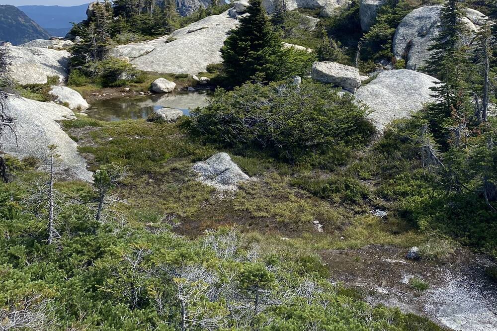 Photo of Others in Merritt