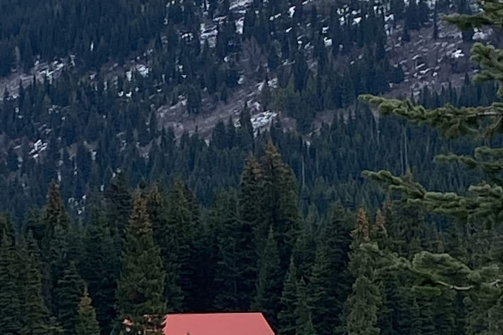 Photo of Outdoor in Merritt