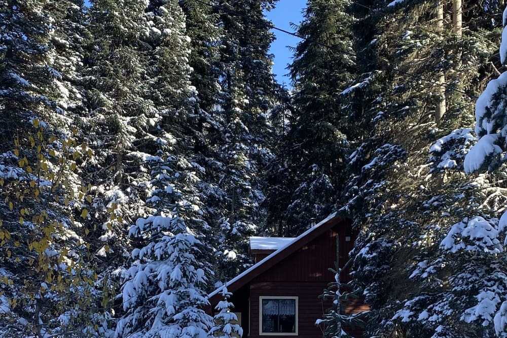 Photo of Outdoor in Merritt