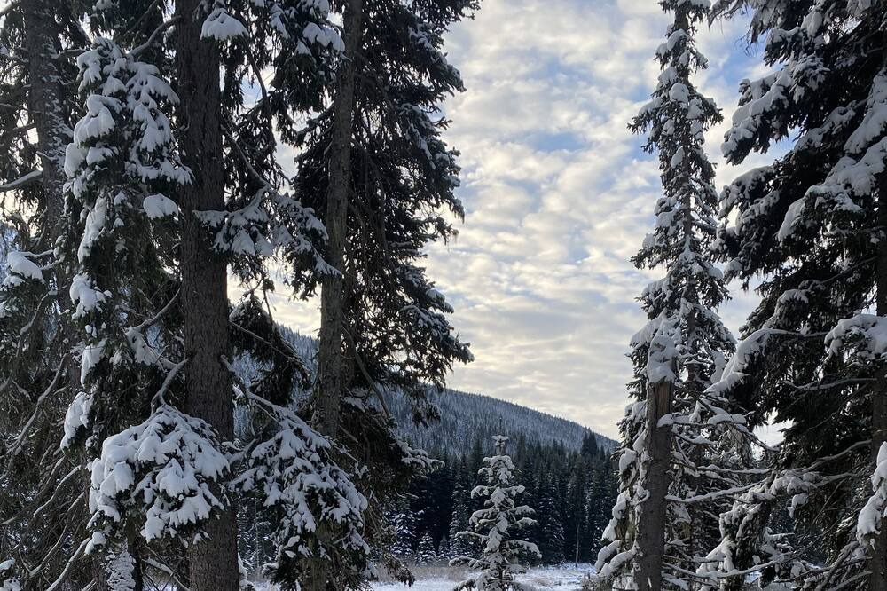 Photo of Outdoor in Merritt