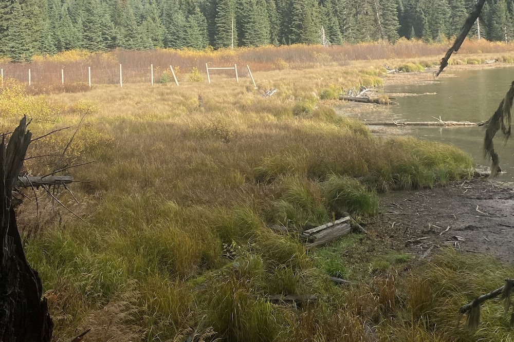 Photo of Outdoor in Merritt