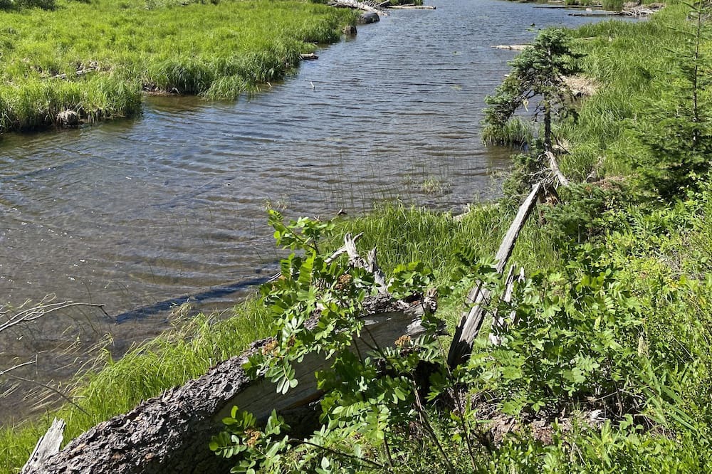 Photo of Outdoor in Merritt