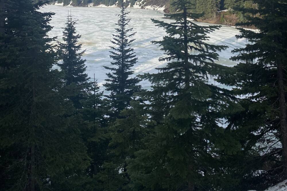 Photo of Outdoor in Merritt
